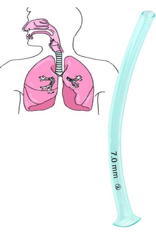 Accesorio de cuidado nasal para conductos nasofaríngeos de 7.0 mm: ¡Mejora tu salud nasal!