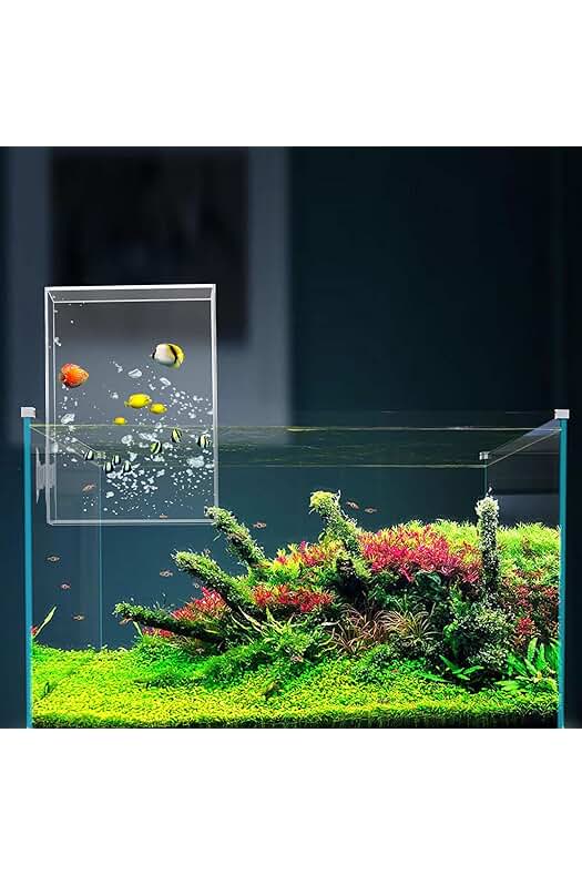 Accesorios para acuario: Elevador de peces de acrílico al vacío de 12x12x20 cm