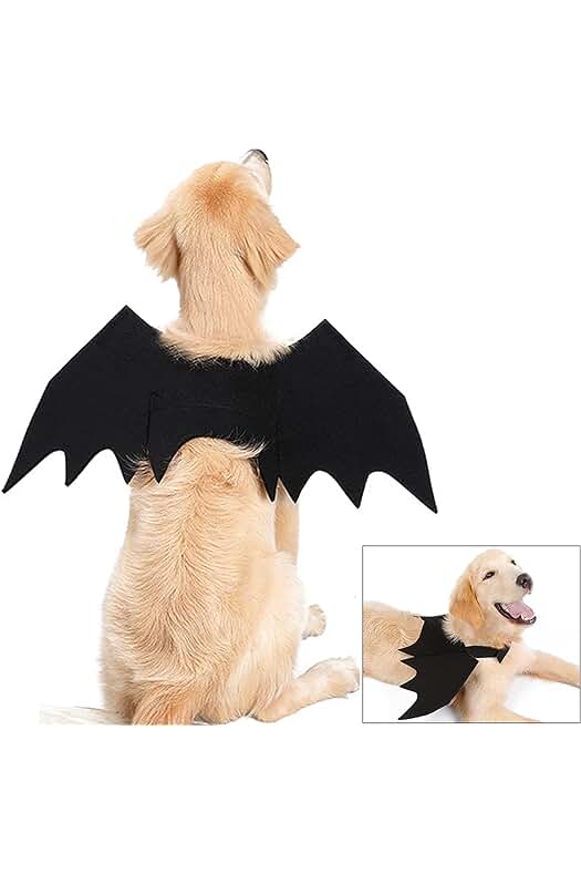 Alas de murciélago para perros: el disfraz perfecto para Halloween y fiestas temáticas