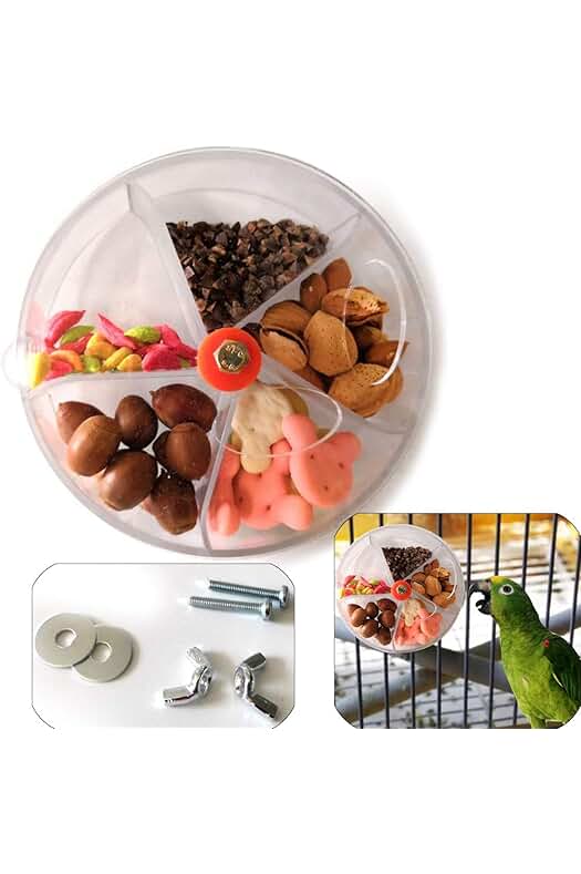 Alimentador interactivo para loros: diversión y estimulación para tu ave con este juguete creativo.