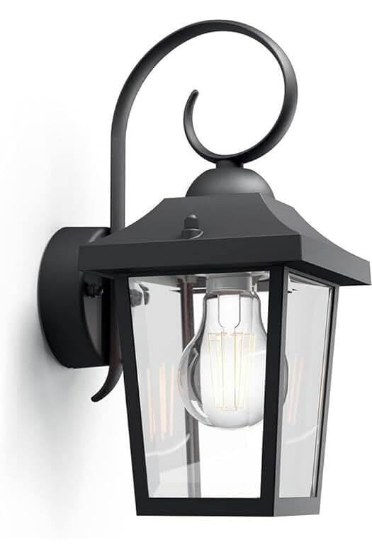 Aplique de exterior Philips myGarden Buzzard - Iluminación resistente y elegante para tu patio o jardín.