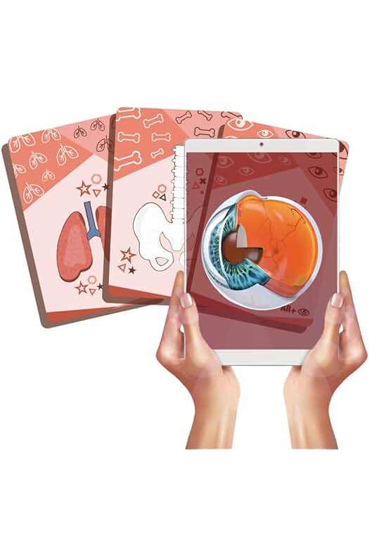 AR+ Body Planet: Cartas interactivas del Cuerpo Humano con Realidad Aumentada