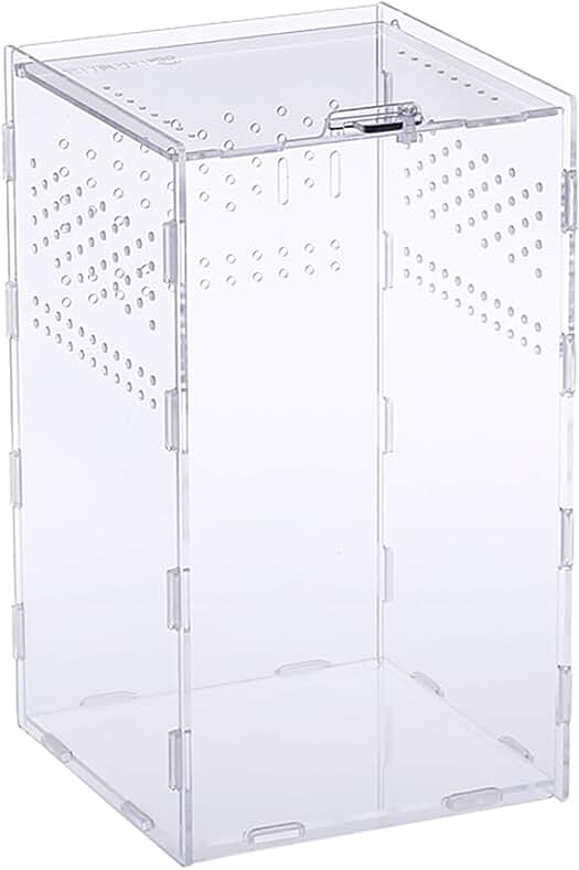 Caja de Alimentación Transparente para Reptiles, Insectos y Otros Animales Pequeños.