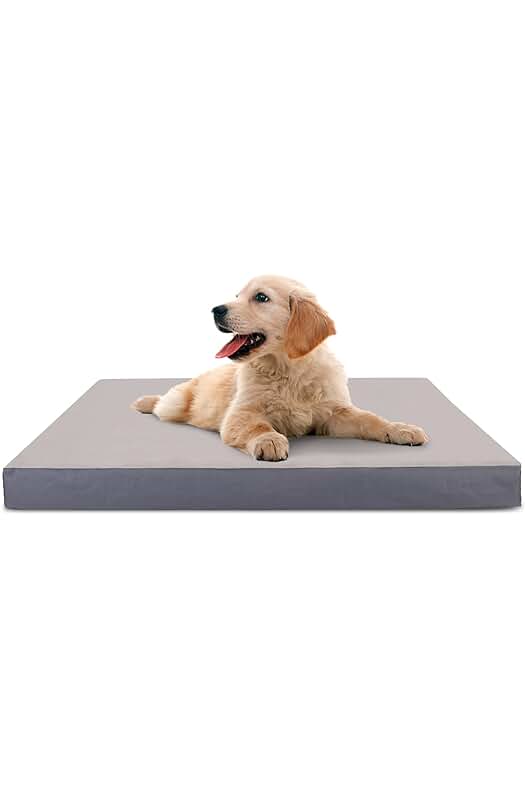 Cama ortopédica para perros pequeños, cómoda y lavable, con relleno grueso y funda desenfundable.