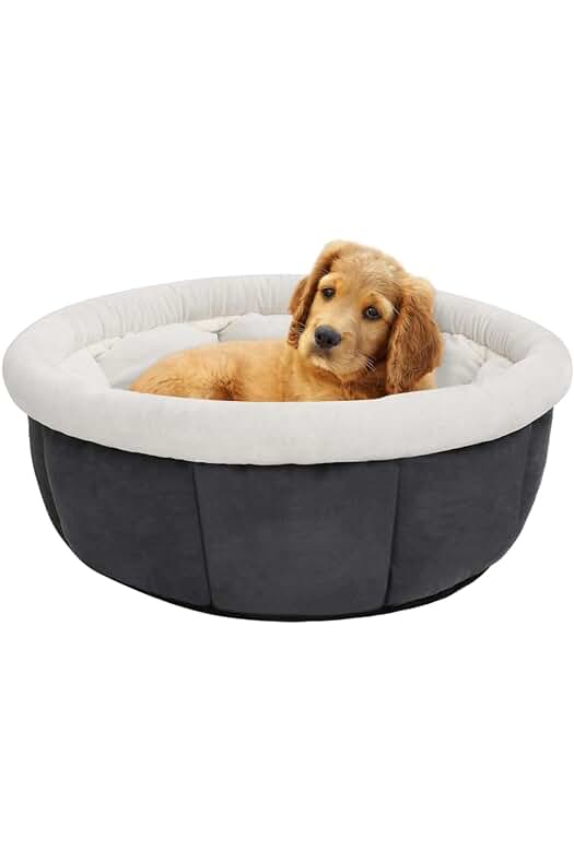 Cama para perros TECHPO de lujo - Comodidad y estilo para tu mascota.