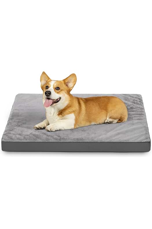 Cama perro ortopédica, 73x45cm, desenfundable y lavable, colchoneta antideslizante. ¡Descanso y comodidad para tu mascota!