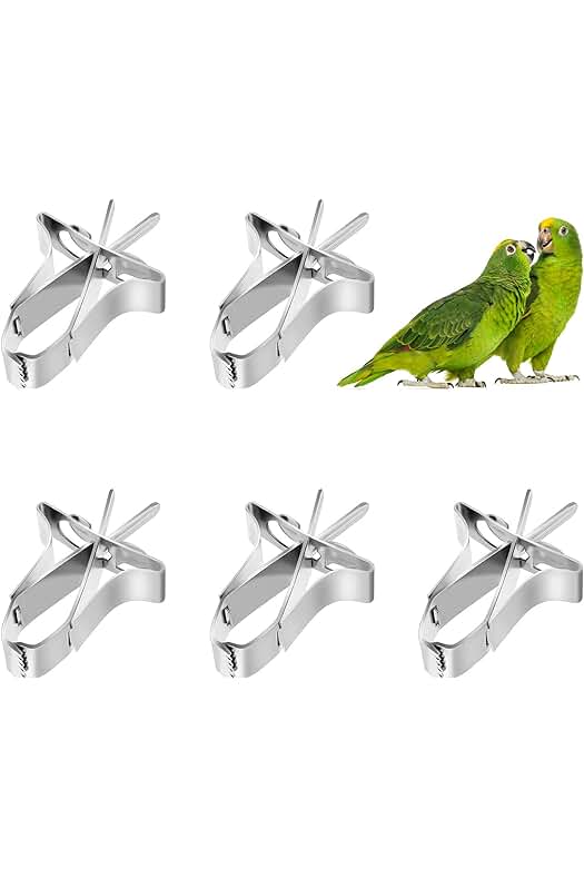 Clip de Alimentación para Pájaros - Práctico Comedero para Loros y Aves