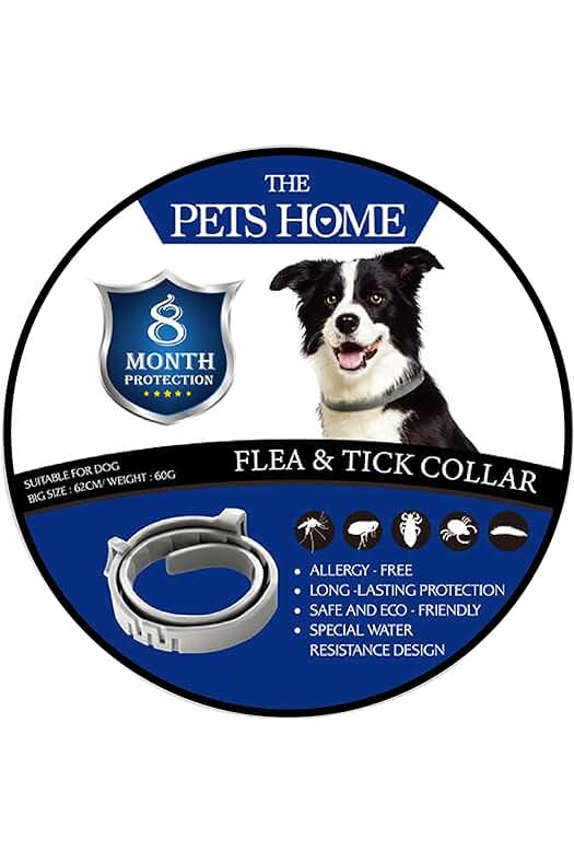 Collar antipulgas para perros: protección duradera contra pulgas y garrapatas durante 8 meses.