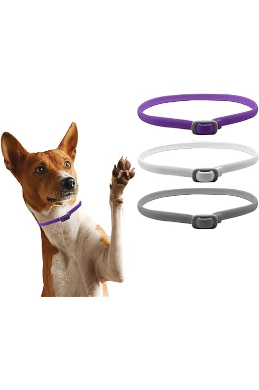 Collar antipulgas para perros: Protección duradera y ajustable contra pulgas y garrapatas.