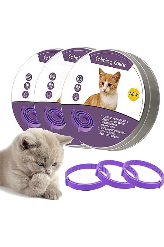 Collar de Calma para Gatos: Reduce el Estrés y Promueve la Tranquilidad en tu Mascota