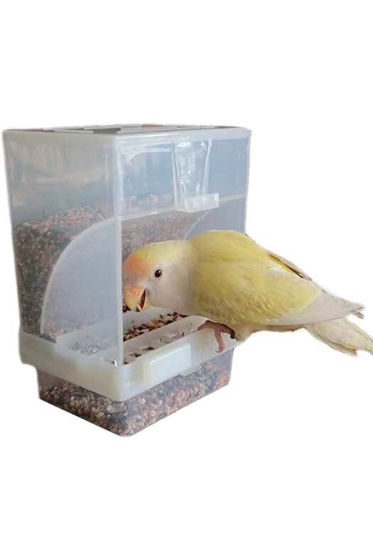Comedero automático para aves: el complemento perfecto para alimentar a tus pájaros con semillas.