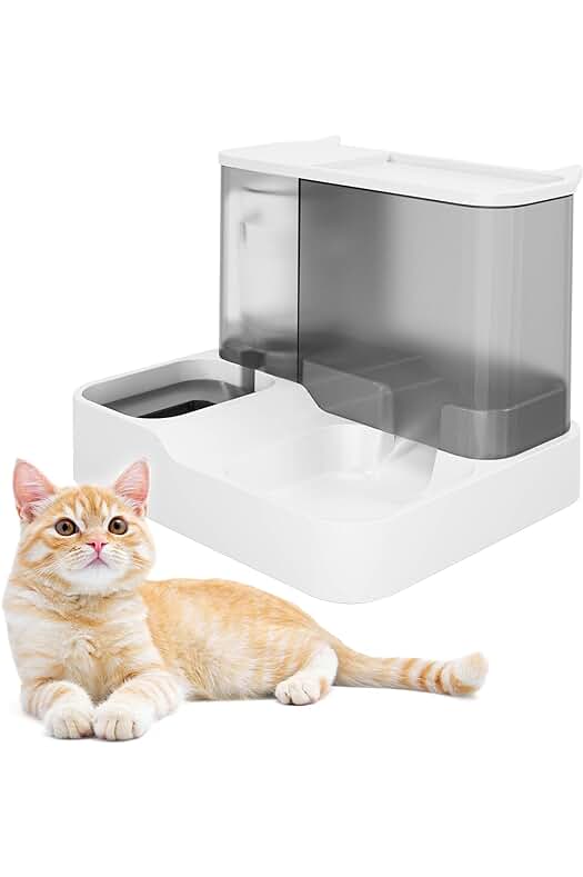 Comedero automático para gatos: alimenta a tu mascota de forma práctica y conveniente