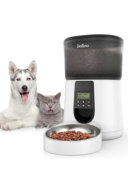 Comedero automático para gatos: Dispensador de comida con tazón de acero inoxidable de 4L.