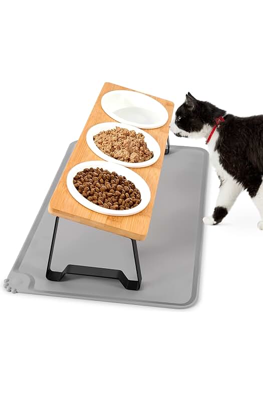 Comedero elevado para gatos: diseño ergonómico, cerámica y soporte de bambú. Perfecto para tu mascota.