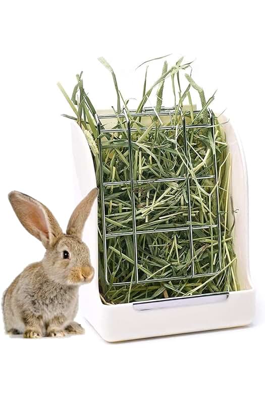 Comedero para Conejos, Alimentador de Heno y Pienso con Pinza - Edipets (Beige)