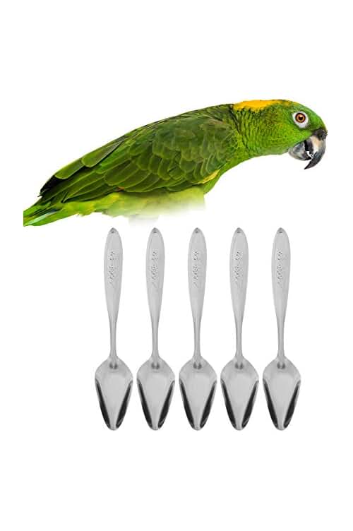 Cucharas de Leche en Polvo para Mascotas Aves Conejo Hámster - Juego de 5 Piezas de Acero Inoxidable.