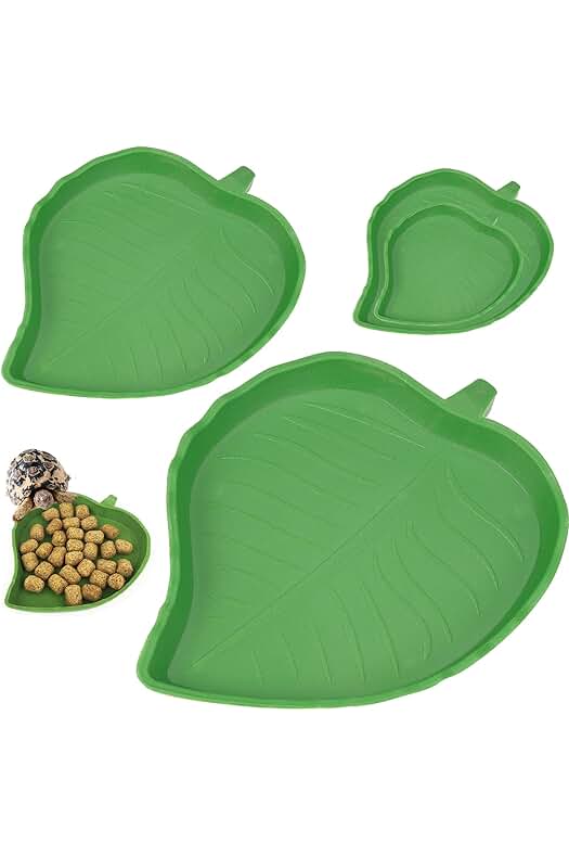 Cuenco de alimentación para reptiles: práctico y resistente para mantener a tus mascotas bien alimentadas.
