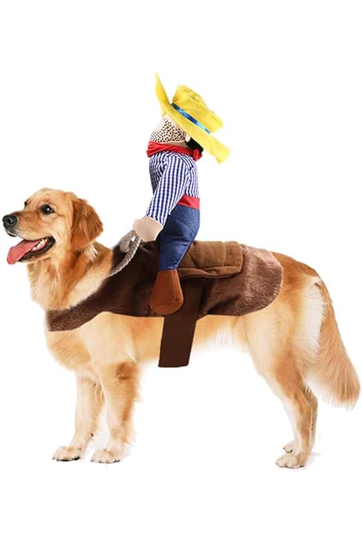 Disfraces de Halloween para perros: Accesorios de ropa y disfraces divertidos para tu mascota.