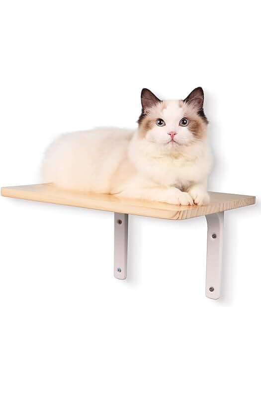 Estantes flotantes para gatos: el paraíso vertical para jugar, descansar y trepar.