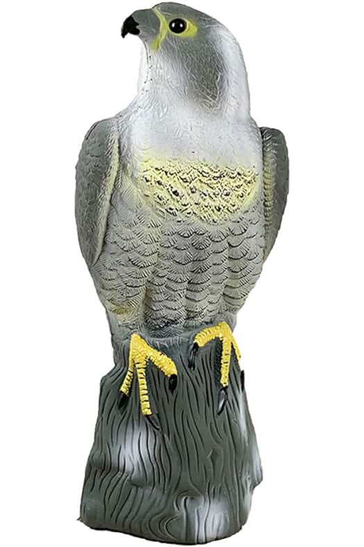 Estatua de águila decorativa para jardín: disuasiva y realista para pájaros no deseados.