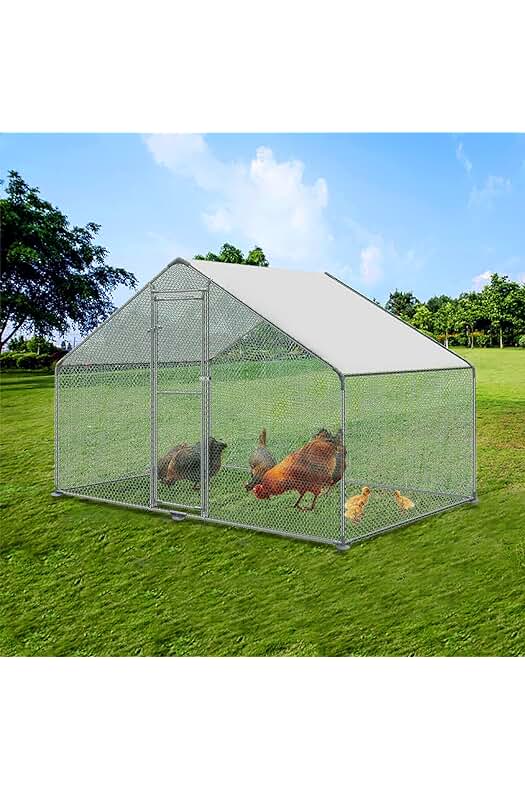 Gallinero de acero galvanizado para exteriores, seguro y espacioso para tus gallinas.