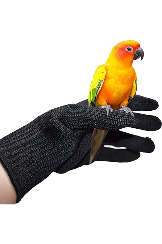 Guantes de seguridad para loros: protección contra mordeduras y arañazos.
