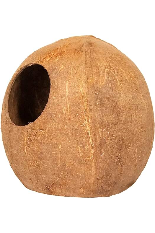 Guarida Coco Cueva para Reptiles Planet: El escondite perfecto para tus reptiles y anfibios.