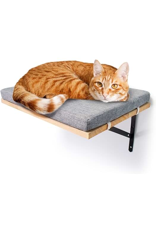 Hamaca para Gatos de Pared: Cama Colgante para Gatos en la Pared.