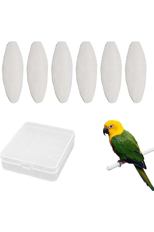Hueso de Jibia Natural para Pájaros: Juguetes de Masticar de Alta Calidad para Aves.