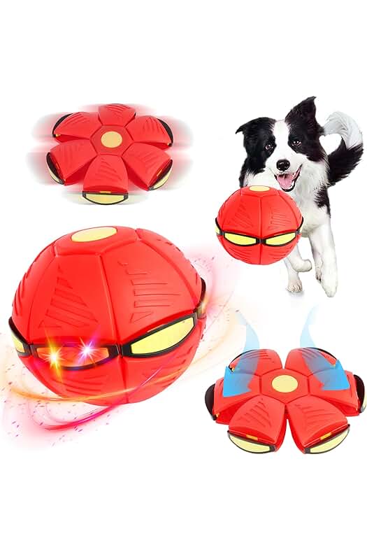 Juguete interactivo para perros: Disco volador para divertirse al aire libre con tu mascota.
