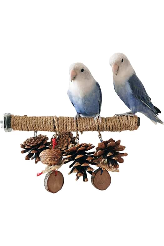Juguetes interactivos para loros: diversión y estimulación para aves pequeñas y medianas.