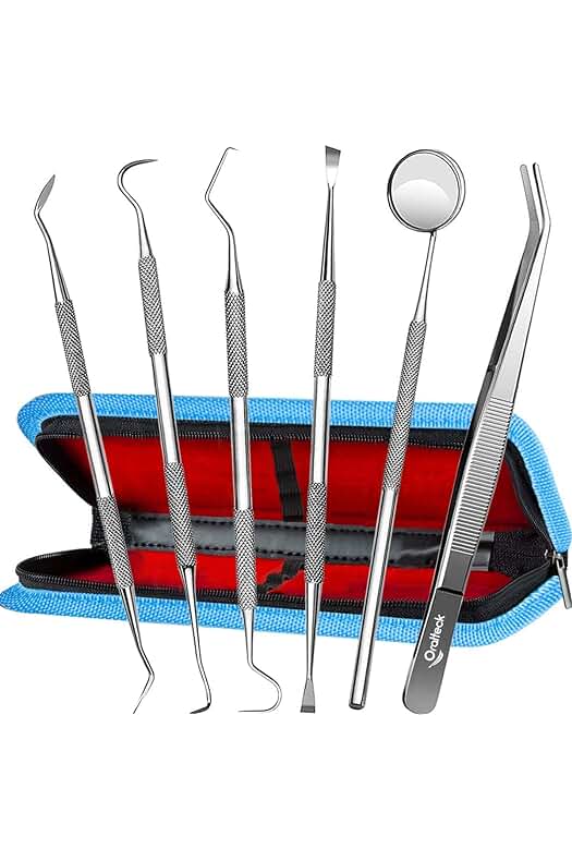 Kit de acero inoxidable para limpieza y cuidado dental, con estuche, apto para toda la familia.