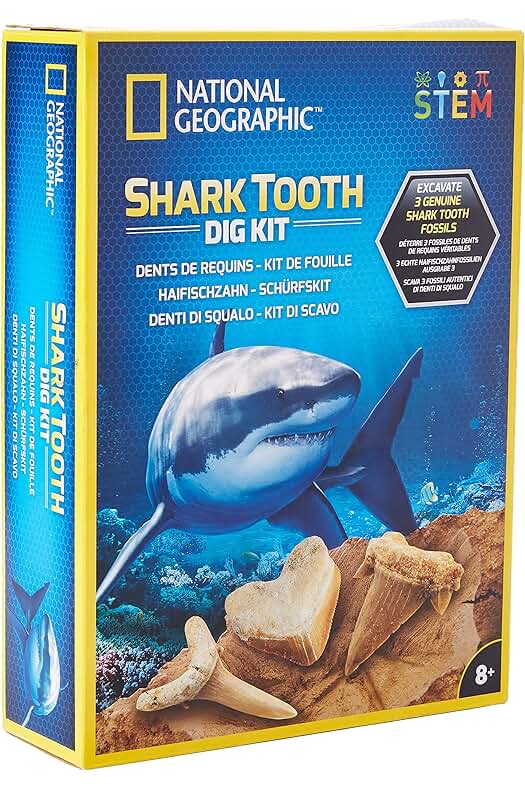 Kit de Excavación de Dientes de Tiburón de National Geographic: Descubre los fósiles de tiburón con este fascinante kit educativo.