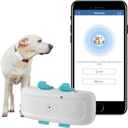 Localizador GPS para Perros TK911: Rastreo en Tiempo Real con Tecnología 4G