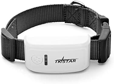 Localizador GPS para Perros TKSTAR: Rastreo en Tiempo Real con Collar y Plataforma Gratuita.
