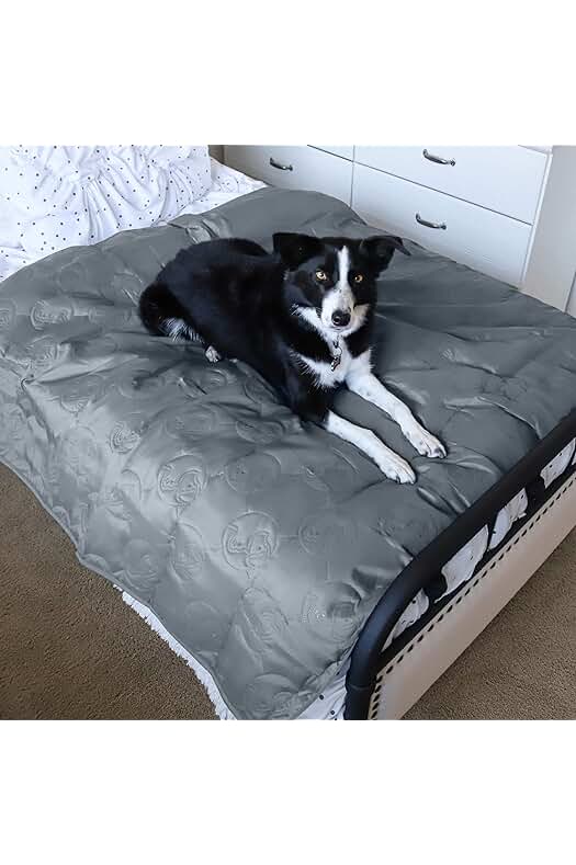 Manta protectora impermeable para sofá de mascotas: protege y mantiene limpios tus muebles.