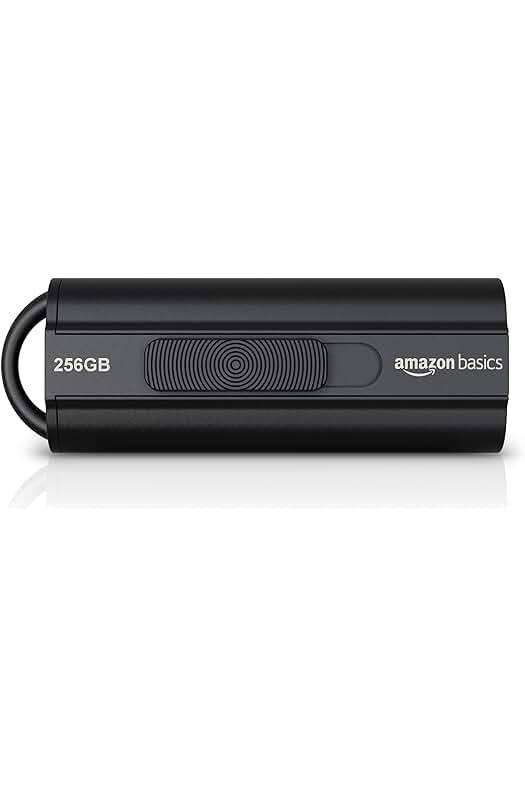 Memoria Flash USB 3.1 de 256 GB: alta velocidad de lectura de hasta 130 MB/s