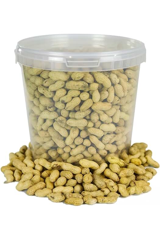 Mezcla de frutos secos para aves y animales salvajes del jardín: ¡Energía natural en cada bocado!