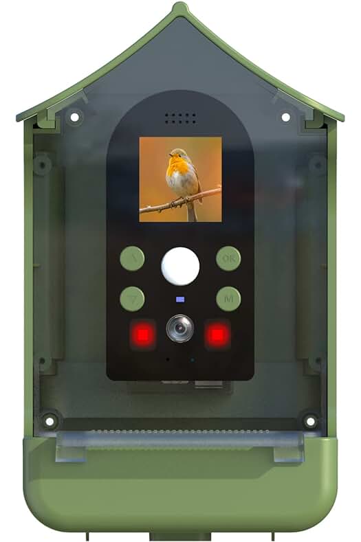Observa aves y animales con claridad con nuestra pajarera con cámara de alta definición 1080P