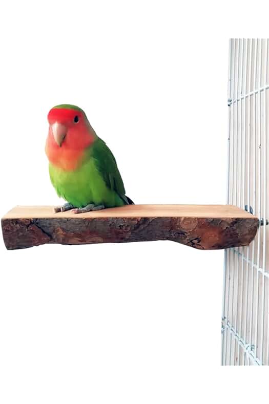 Percha de pájaro de madera natural para jaula - Accesorio esencial para pájaros.