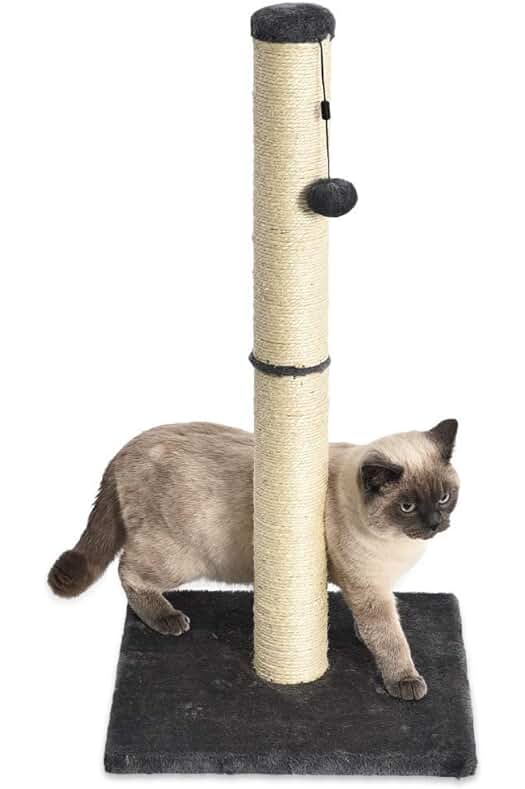 Poste rascador para gatos de Amazon Basics - ¡Divierte y cuida a tu gato!