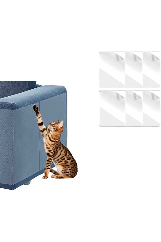 Protector de muebles transparente para gatos: solución efectiva contra los arañazos