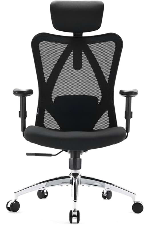 SIHOO M18 - Silla Ergonómica de Oficina con Soporte Lumbar y Apoyabrazos Ajustables