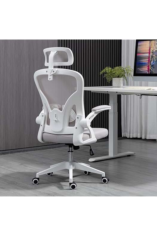Silla de Oficina Ergonómica Ahua con Respaldo de Malla Transpirable y Soporte Lumbar Ajustable