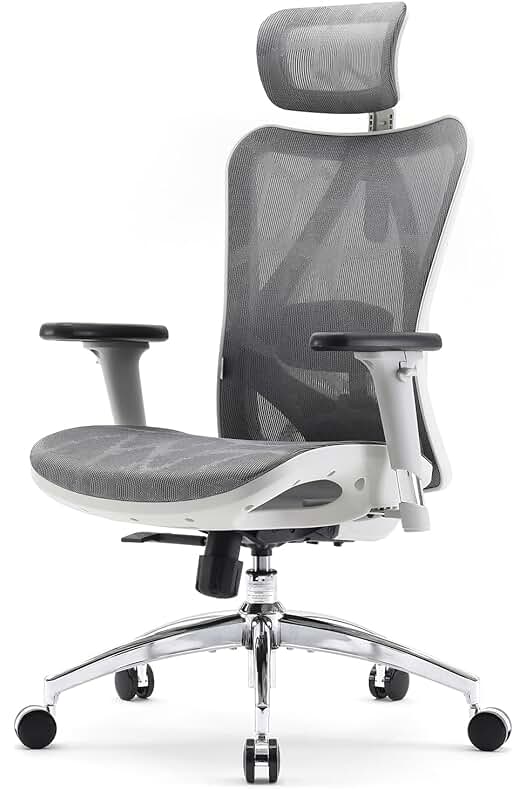 Silla de Oficina Ergonómica SIHOO M57 - Soporte Lumbar y Reposacabezas Ajustables