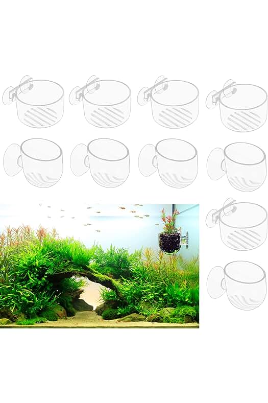 Soportes acrílicos para plantas acuáticas: la solución perfecta para decorar tu acuario.