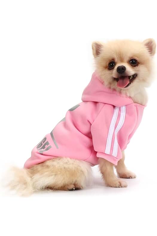 Sudadera para perros: Ropa cómoda y cálida para cachorros, ideal para Chihuahuas (Rosa, X-Large)