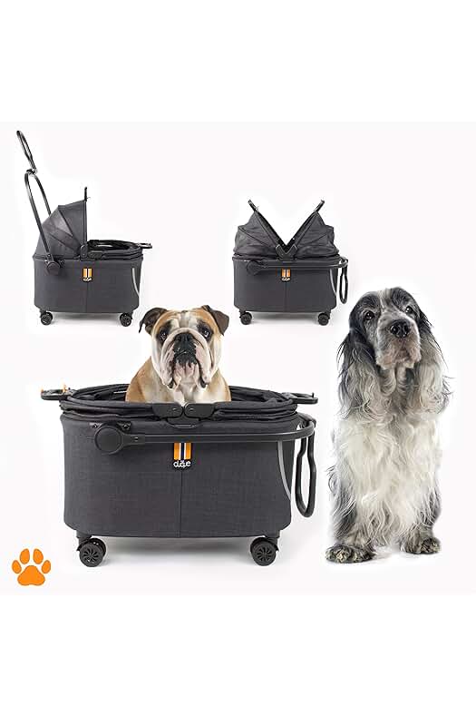 Transportín para animales: Cochecito de paseo para mascotas con diseño moderno y tejido de malla
