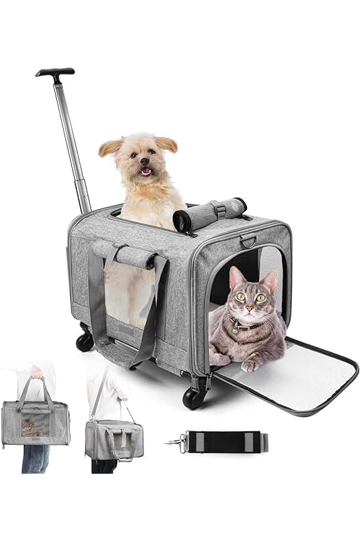 Transportín para gatos y perros: cómodo, transpirable y plegable. Ideal para viajar con tu mascota.