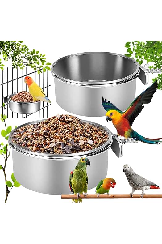 Título optimizado: Plato de alimentación de acero inoxidable para aves y pequeños animales